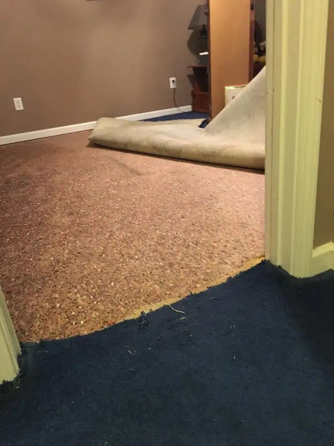 Carpet pad removal revealing water damage during Drying & Dehumidification in St. Ann