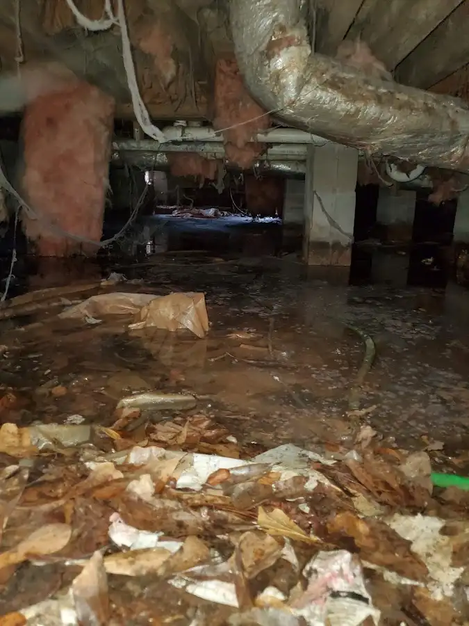 Crawl space flood assessment for Leak Detection & Repair in St. Ann